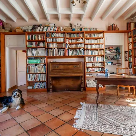 Holiday home Les Rives Du Lot - Piscine Au Bord Du Fleuve
